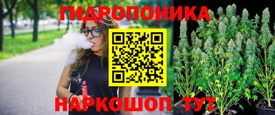 индика Магнитогорск