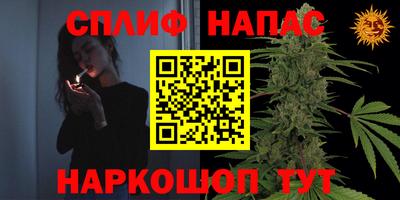 PSILOCYBIN Майкоп